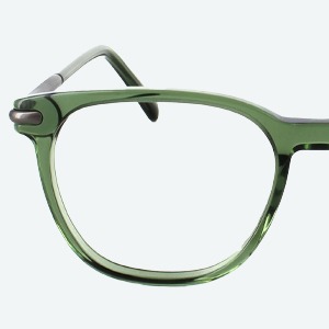 Wayfarer glasses