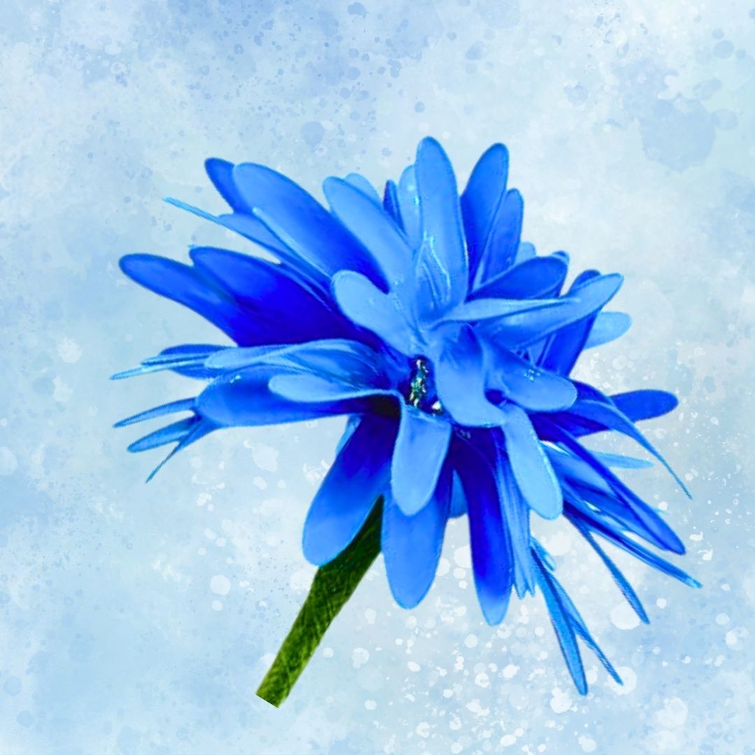 Cornflower resin dip image