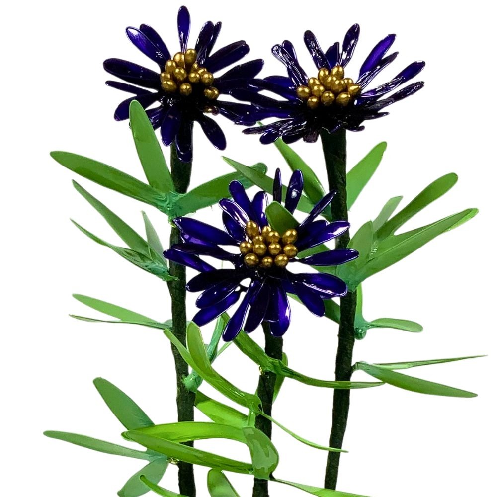 Aster resin dip