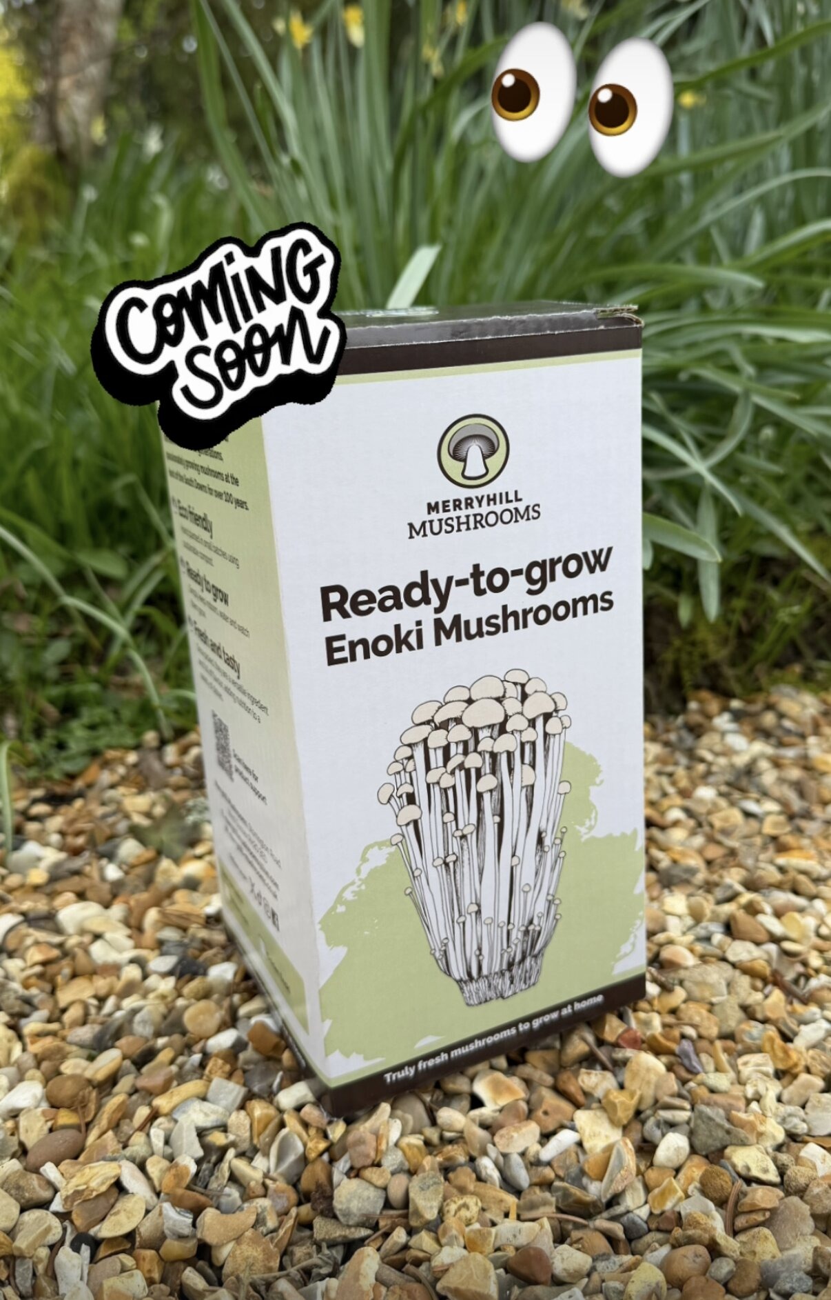 New mushroom growing kit varieties launching spring 2026