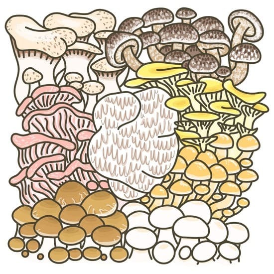 Merryhill Mushrooms Product Range