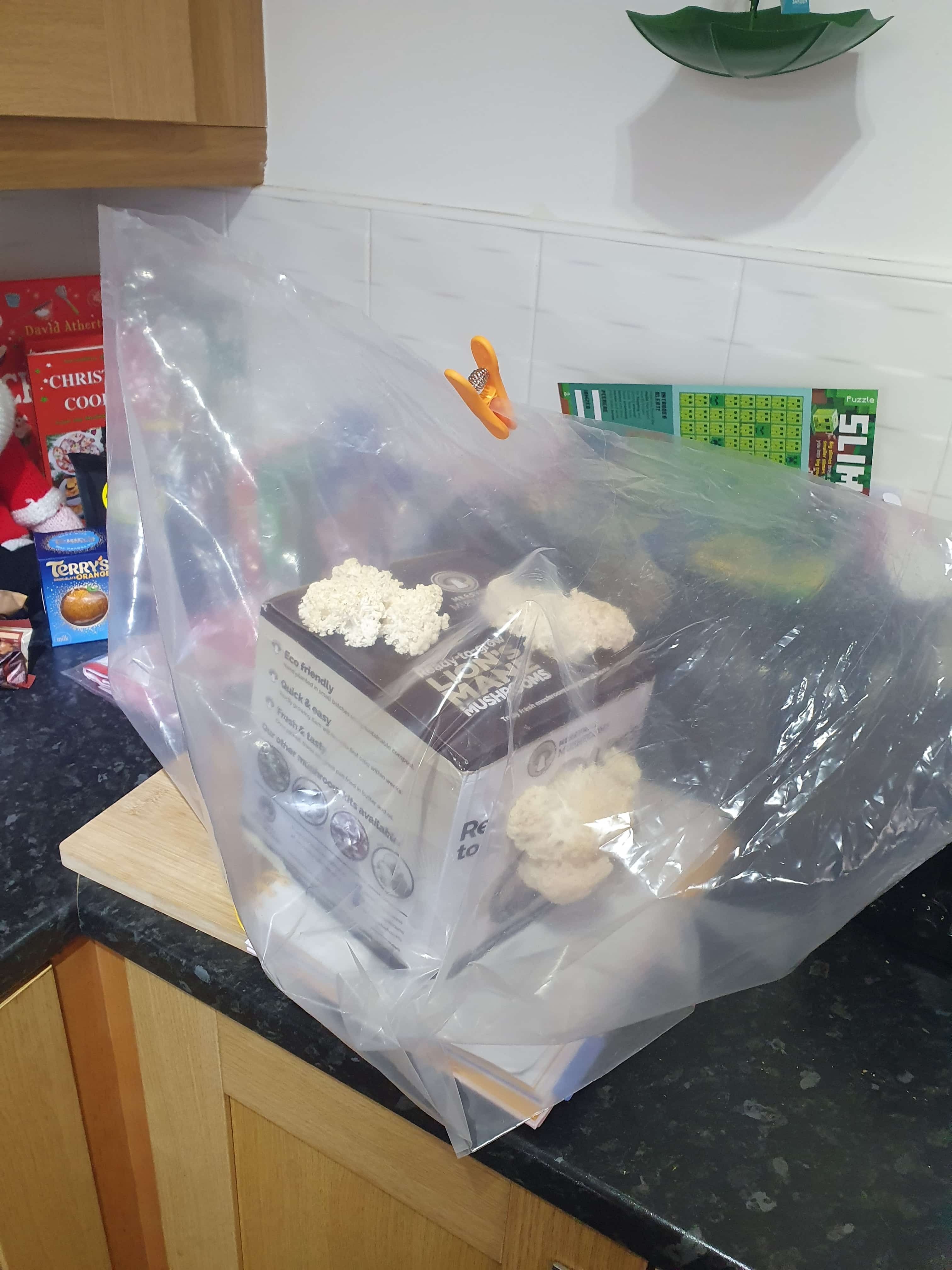 Deformed Lions mane from being suffocated by a sealed plastic bag