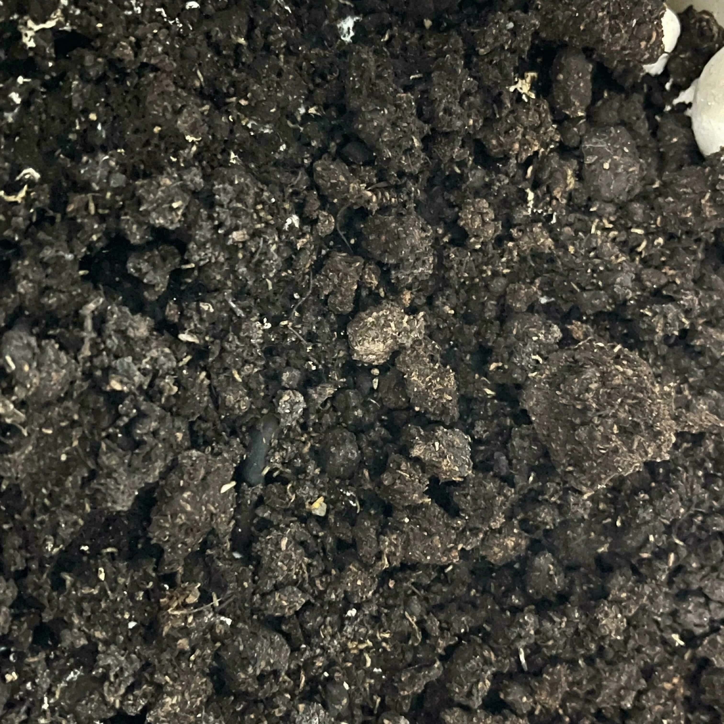 Underwatered kit example 1