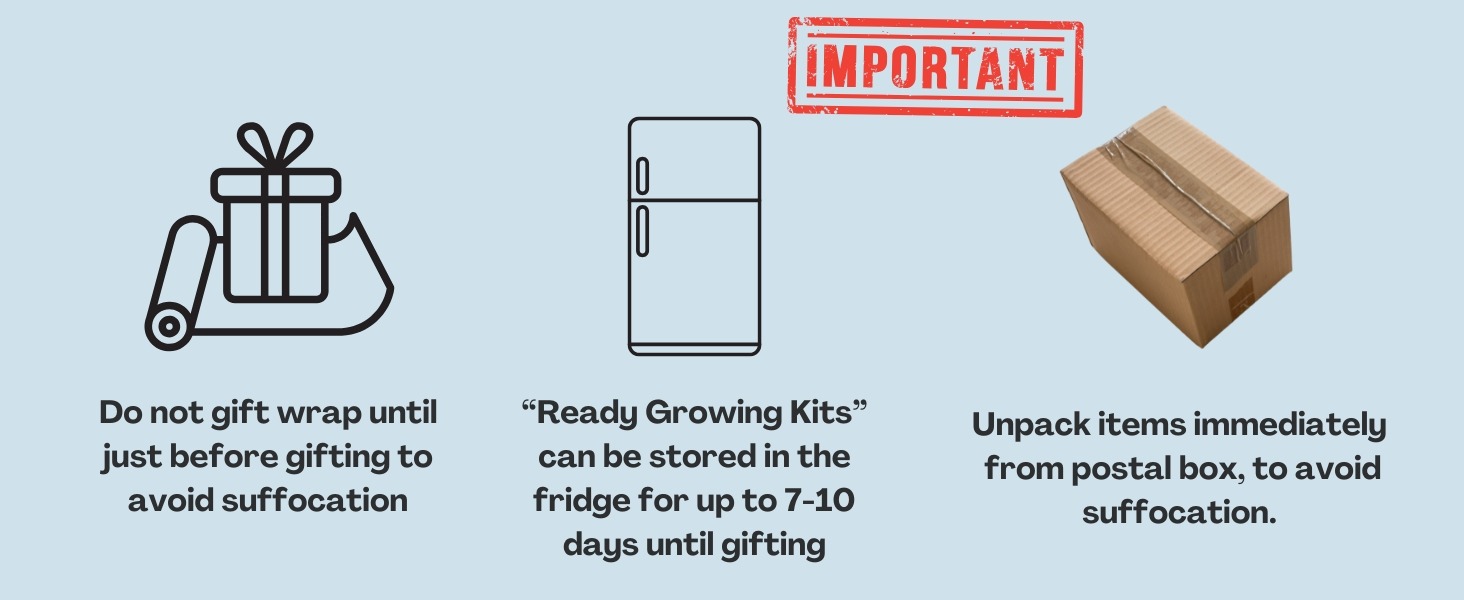 Gifting Information Infographic