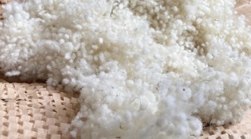 Wool