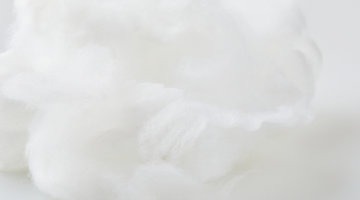 Eco Fibre